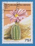 [Flowering Cacti, type TX]
