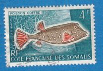 [Fish and Birds, type CY]