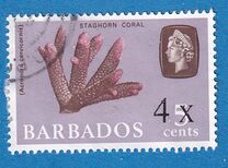 [No. 240 Surcharged, type FU]