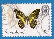 [Butterflies, type KC]
