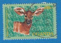 [Endangered Wildlife, tyyppi CBU]