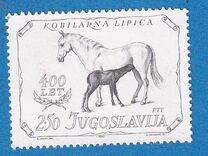 [The 400th Anniversary of the Stud Farm Lipica, type BTW]