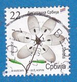 [Serbia digital., tipo KP]