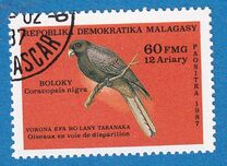 [Endangered Wildlife, type AGI]