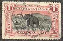 [Congolese Views and Scenes 1894, type I]