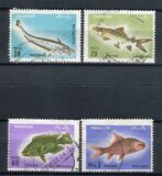 [Fish, Вид IF]