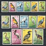[Birds, type CW]