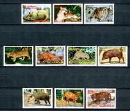 [Wild Animals, tyyppi AOH]