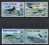 [Whales and Dolphins, type FF]