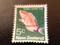 [Local Motifs, Typ SD]