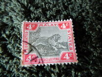 [Tiger, type C2]