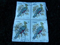 [Birds, type E1]