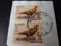 [Birds, type BM]