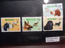 [Dog Breeds, typ BDZ]
