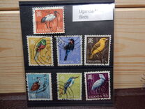 [Birds, type Y]