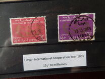 [International Cooperation Year, Scrivi BH]