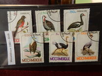 [Birds, प्रकार PB]