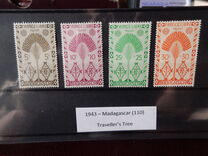 [Traveller's Tree, type HQ3]