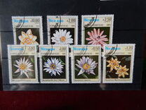 [Aquatic Flowers, type BCG]
