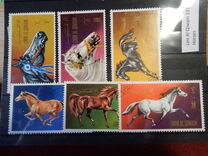 [Horses, Tip SC]