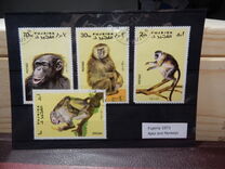 [Apes and Monkeys, Tip ABC]