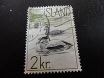 [Atlantic Salmon & Common Eider, տեսակ EU1]