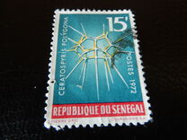 [Marine Life, type MA]