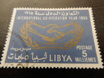 [International Cooperation Year, Scrivi BH]