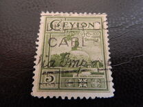 [Local Motifs, type CE]