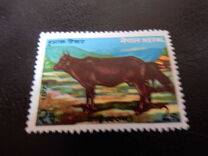 [Domestic Animals, type FN]