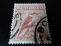 [Kookaburra, type P]