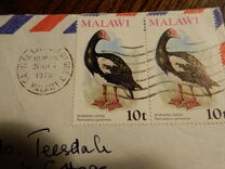 [Birds, type FR]