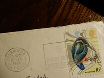 [The 100th Anniversary of the Protection of Birds, typ TZ]