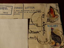 [Birds, type FZ]