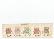 [The 25th Anniversary of King Karl I Reign, type N]