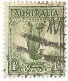 [Superb Lyrebird, тип N]