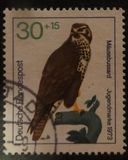 [Youth Hostel - Birds, typ UB]