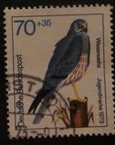 [Youth Hostel - Birds, typ UD]