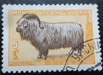 [Mongolian Animals, type CT]