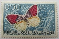 [Butterflies and Agricultural Products, tipas KA]