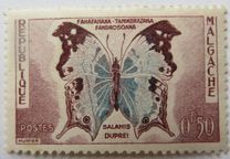 [Butterflies and Agricultural Products, tipas KC]