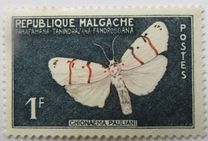 [Butterflies and Agricultural Products, tipas KD]