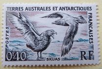 [Birds and Coat of Arms, type I]