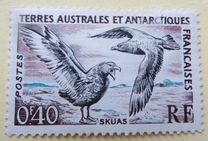 [Birds and Coat of Arms, type I]