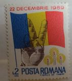 [The December Uprising 1989, タイプ GNF]