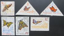 [Butterflies & Moths, 유형 BTG]
