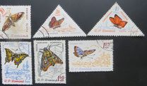[Butterflies & Moths, 유형 BTG]