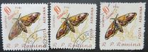 [Butterflies & Moths, 유형 BTG]