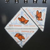 [Butterflies & Moths, 유형 BTI]