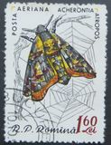 [Butterflies & Moths, 유형 BTK]